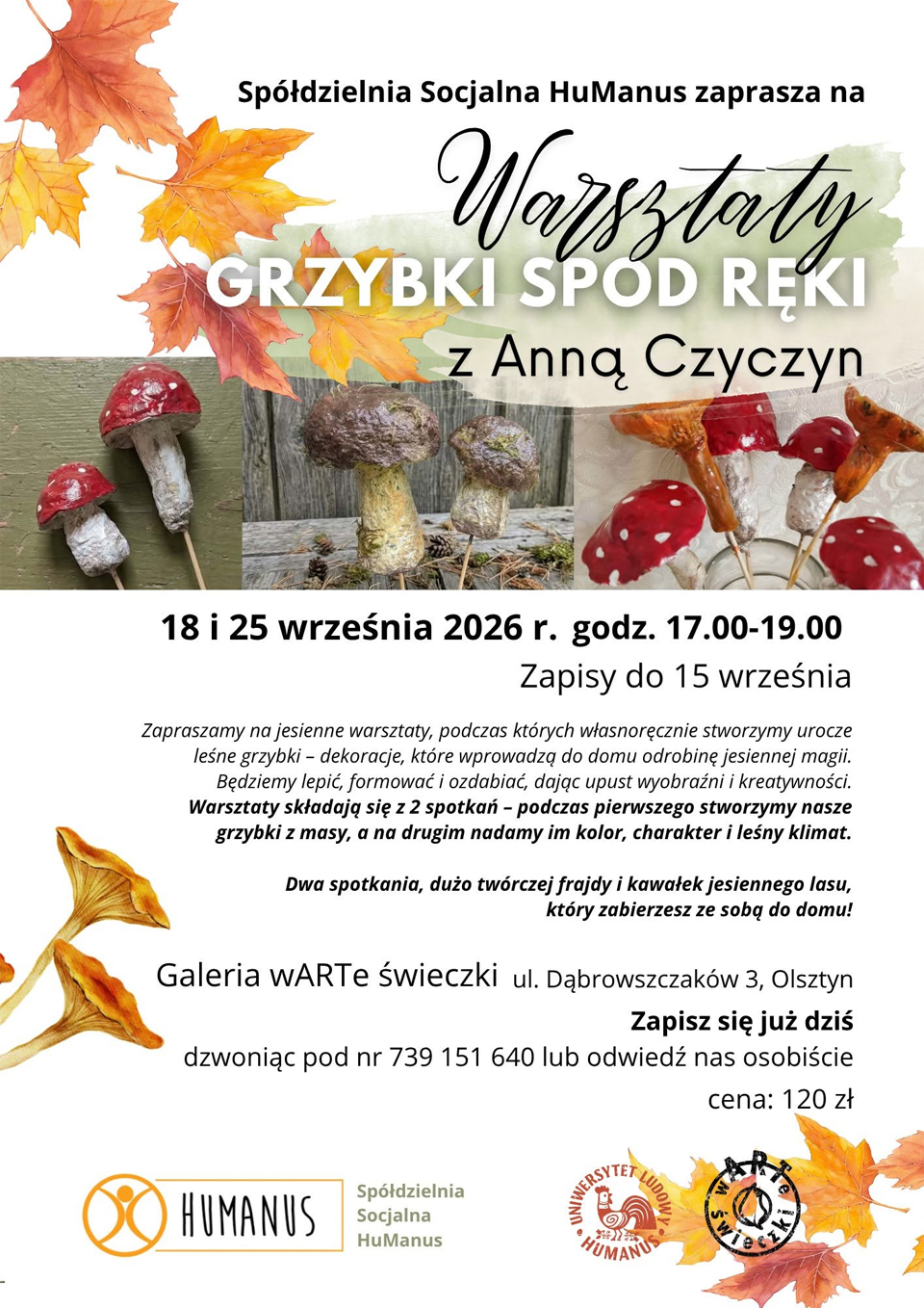 Grzybki spod ręki