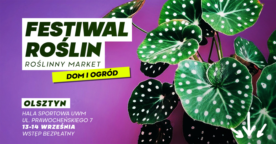 Festiwal Roslin
