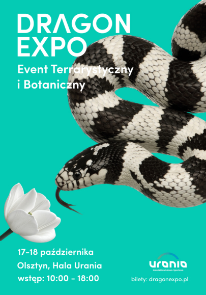 DRAGON EXPO