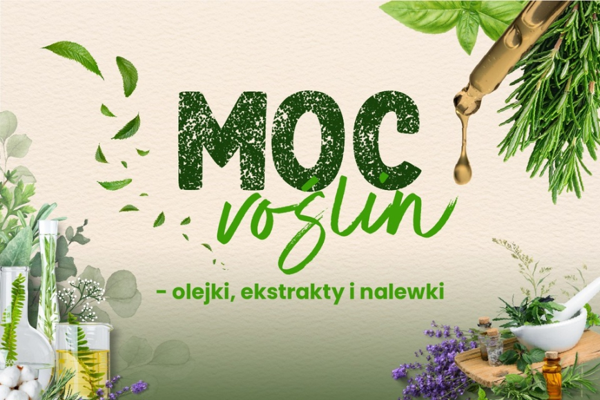 Moc roślin - olejki, ekstrakty i nalewki - warsztaty w Kortosferze