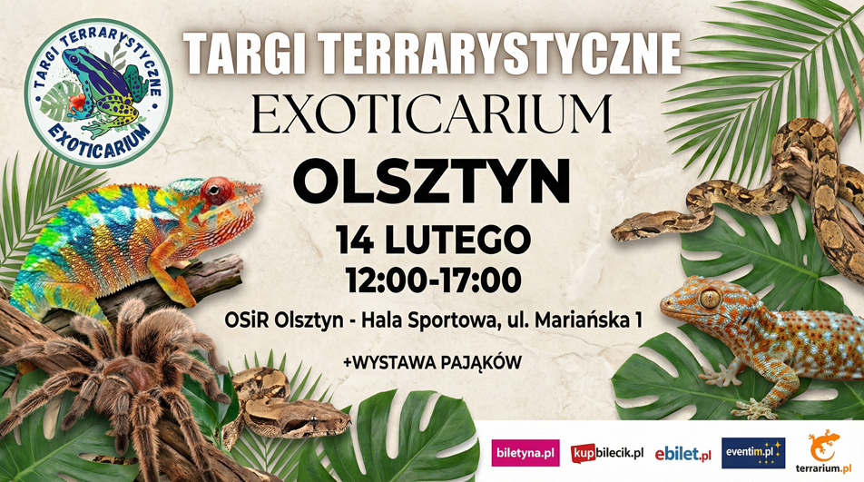 Wystawa Pająków