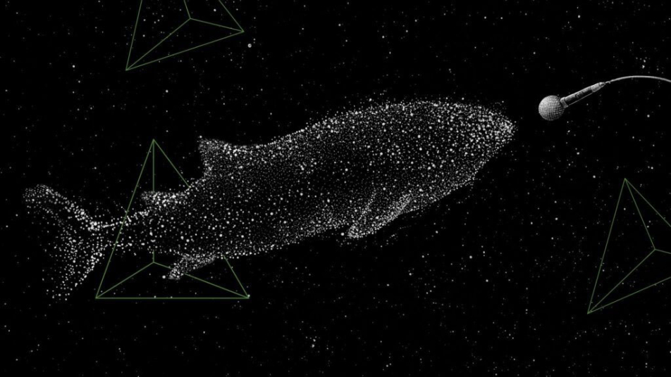 Fest Muza 2025: GEN WARMII I MAZUR / koncert finałowy