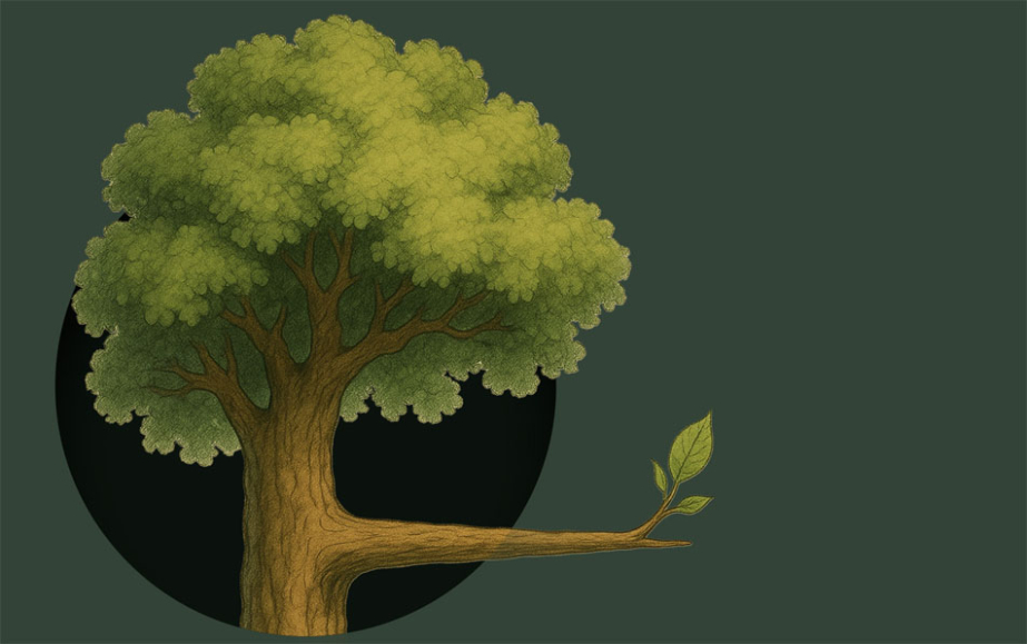 Gdzie kłamstwa rosną