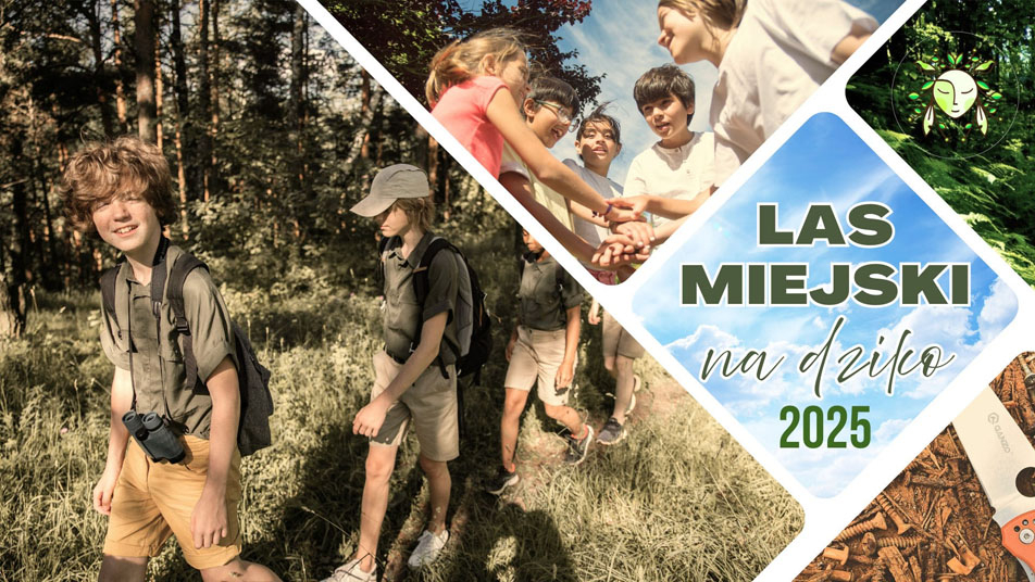 Las Miejski na dziko