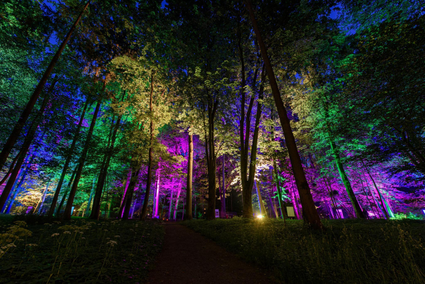 Park świateł w Kortowie